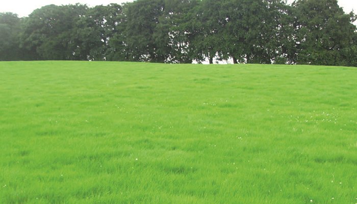 Teagasc (@teagasc) on Twitter photo Edel O’Connor, PhD student, Teagasc, Athenry reports on the INZAC and breeding flocks in this month's <a href="/TeagascSheep/">TeagascSheep</a> newsletter. After a challenging spring, good weather conditions in recent weeks have allowed for increased grass growth levels. Read more bit.ly/3g4tSZ0 Edel O’Connor, PhD student, Teagasc, Athenry reports on the INZAC and breeding flocks in this month's <a href="/TeagascSheep/">TeagascSheep</a> newsletter. After a challenging spring, good weather conditions in recent weeks have allowed for increased grass growth levels. Read more bit.ly/3g4tSZ0