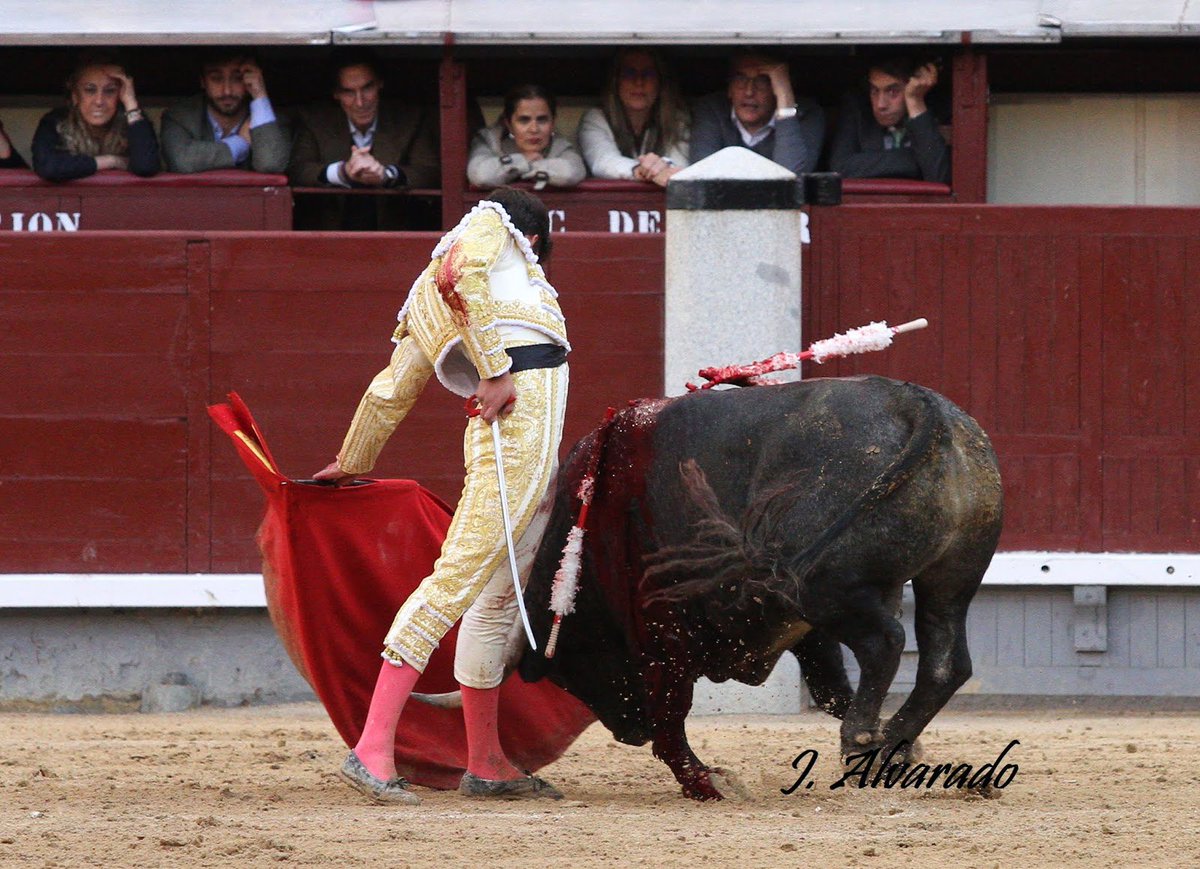 Fundación Toro Lidia tweet media