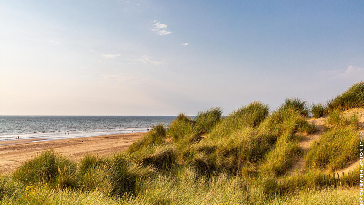 Take some time this #WorldOceanDay to appreciate the beating blue heart of our #OneSharedHome. 🌊

As well as providing a home for people and wildlife, almost a third of all carbon dioxide that humans have ever produced has been absorbed by the ocean! #OceanHero