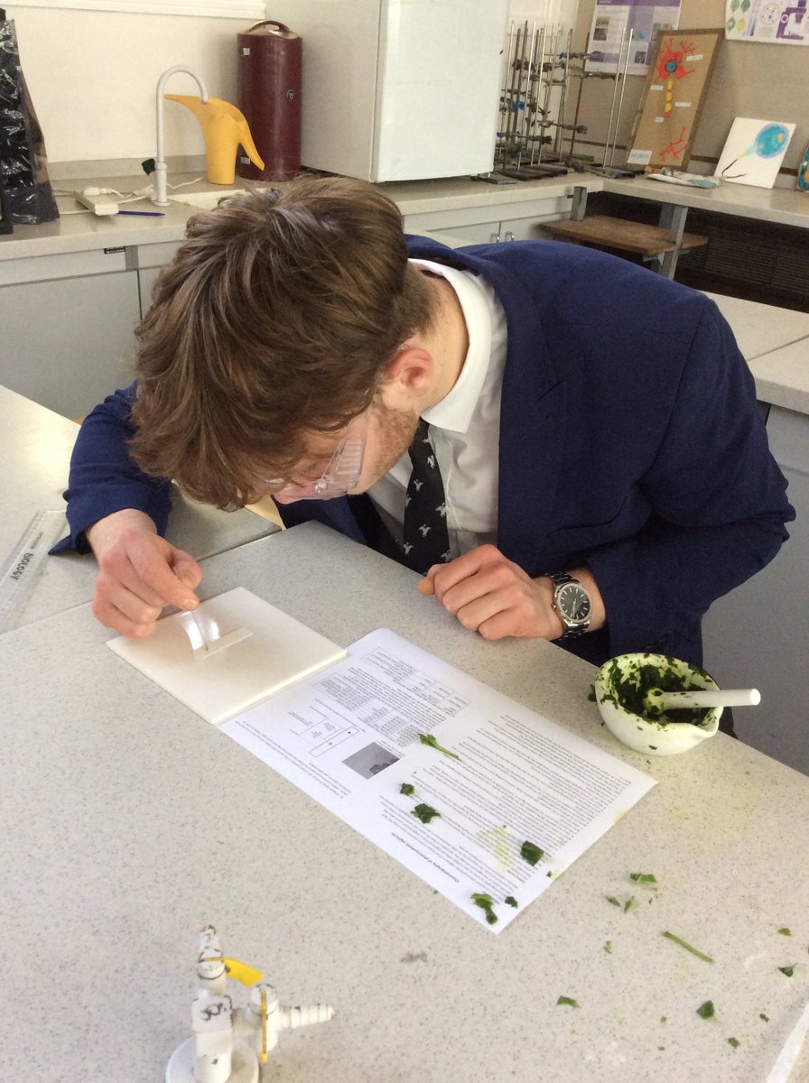 JHGS_Science's tweet photo. Miss Venn and Mr Arnold said goodbye to their U6 classes in their own inimitable style by doing a photosynthesis practical, chlorophyll chromatography and the hugely popular #ratdissection #bemorecutting!🐀

No-one will forget their time in Biology! https://t.co/icukefG8Q2