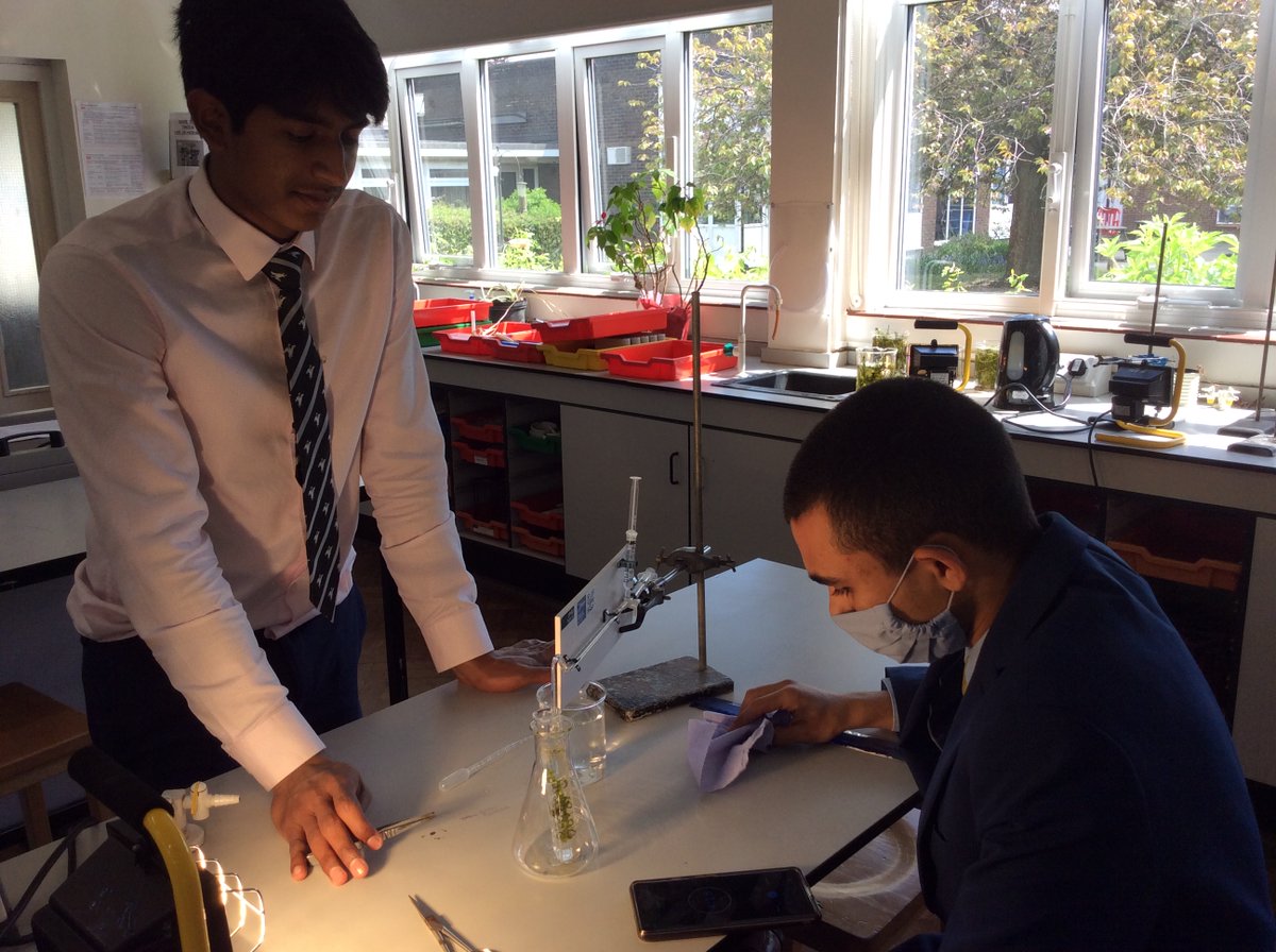 JHGS_Science's tweet photo. Miss Venn and Mr Arnold said goodbye to their U6 classes in their own inimitable style by doing a photosynthesis practical, chlorophyll chromatography and the hugely popular #ratdissection #bemorecutting!🐀

No-one will forget their time in Biology! https://t.co/icukefG8Q2
