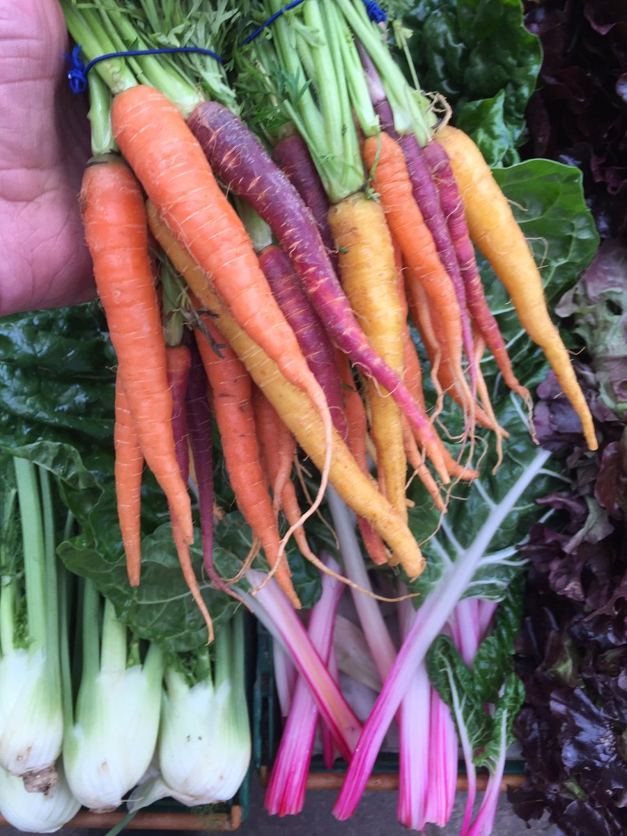 #Love the colours of the new crops available! <a href="/sproutsfarmclub/">Sprouts Farm Club Jersey</a>