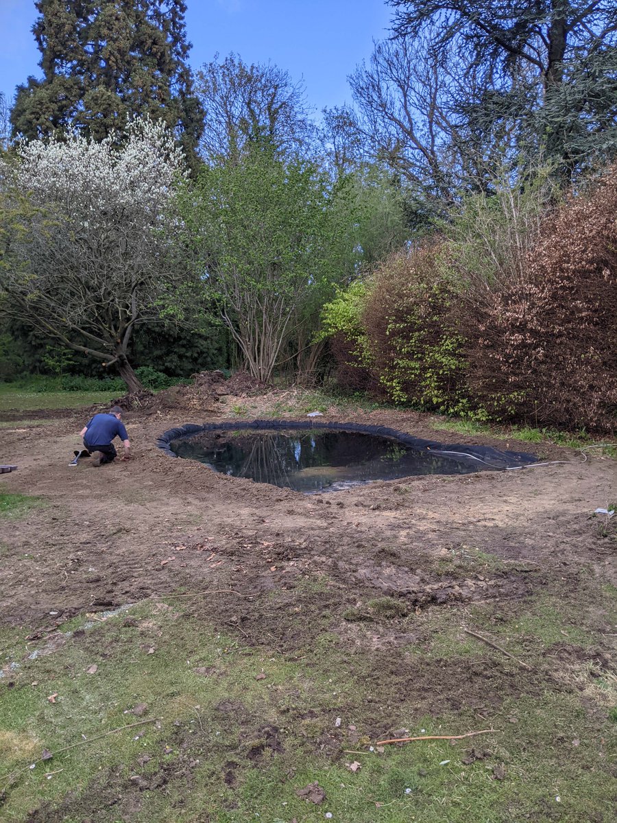 LR6FC's tweet photo. While we were enjoying the summer sunshine last week, our Estates Team were hard at work renovating our college pond! π
We still have some pond plants to add, but already frogs, newts and damselflies have been spotted! πΏπΈπΈ
#BeLong #BeLongRoad #LongRoadLife #Nature #Wildlife https://t.co/3nMtPL5GCI