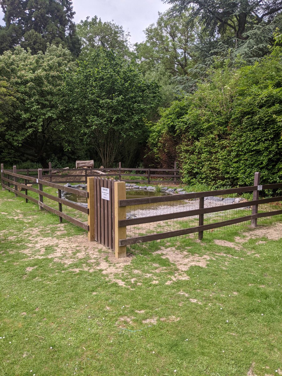 LR6FC's tweet photo. While we were enjoying the summer sunshine last week, our Estates Team were hard at work renovating our college pond! π
We still have some pond plants to add, but already frogs, newts and damselflies have been spotted! πΏπΈπΈ
#BeLong #BeLongRoad #LongRoadLife #Nature #Wildlife https://t.co/3nMtPL5GCI