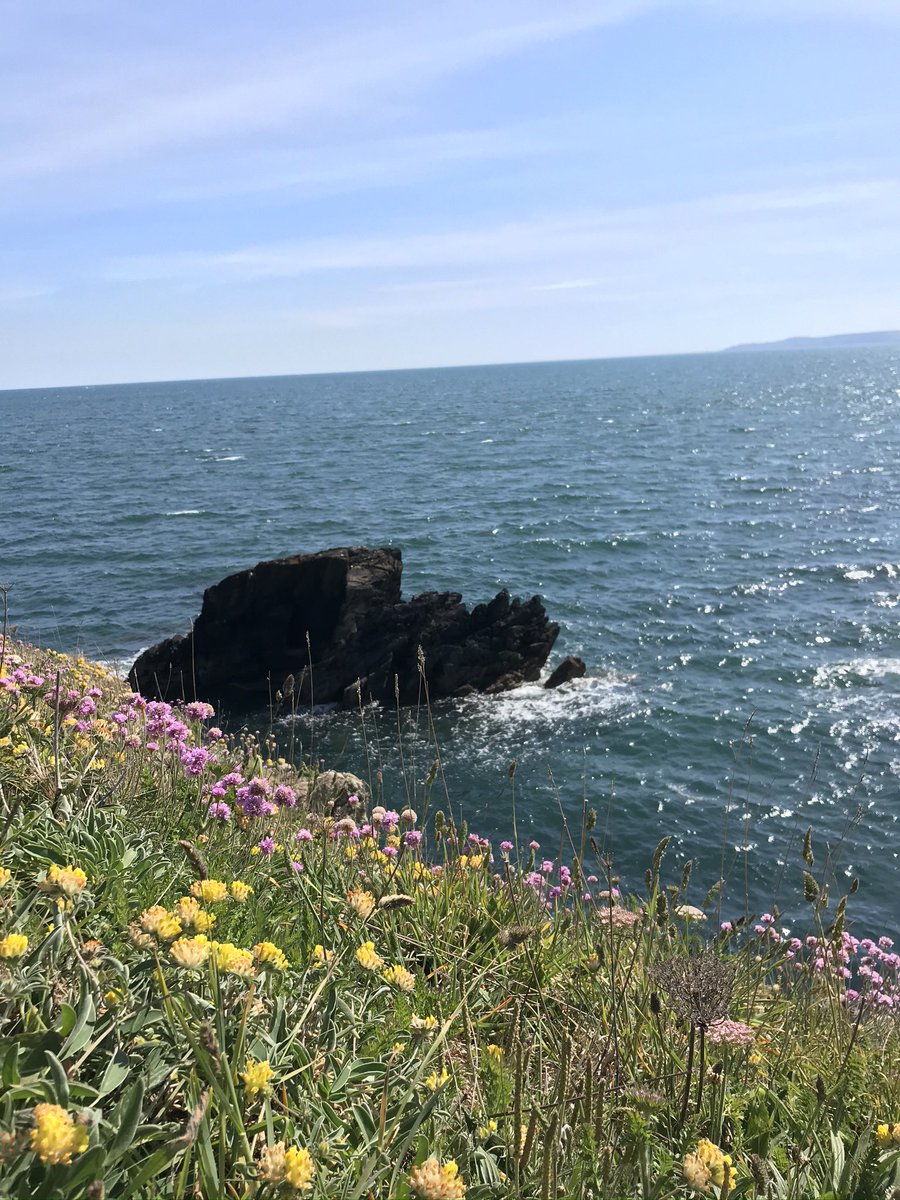eveasanders's tweet photo. Happy #WorldOceanDay ! 🌊 🐟 https://t.co/ZvAB6YVmLu