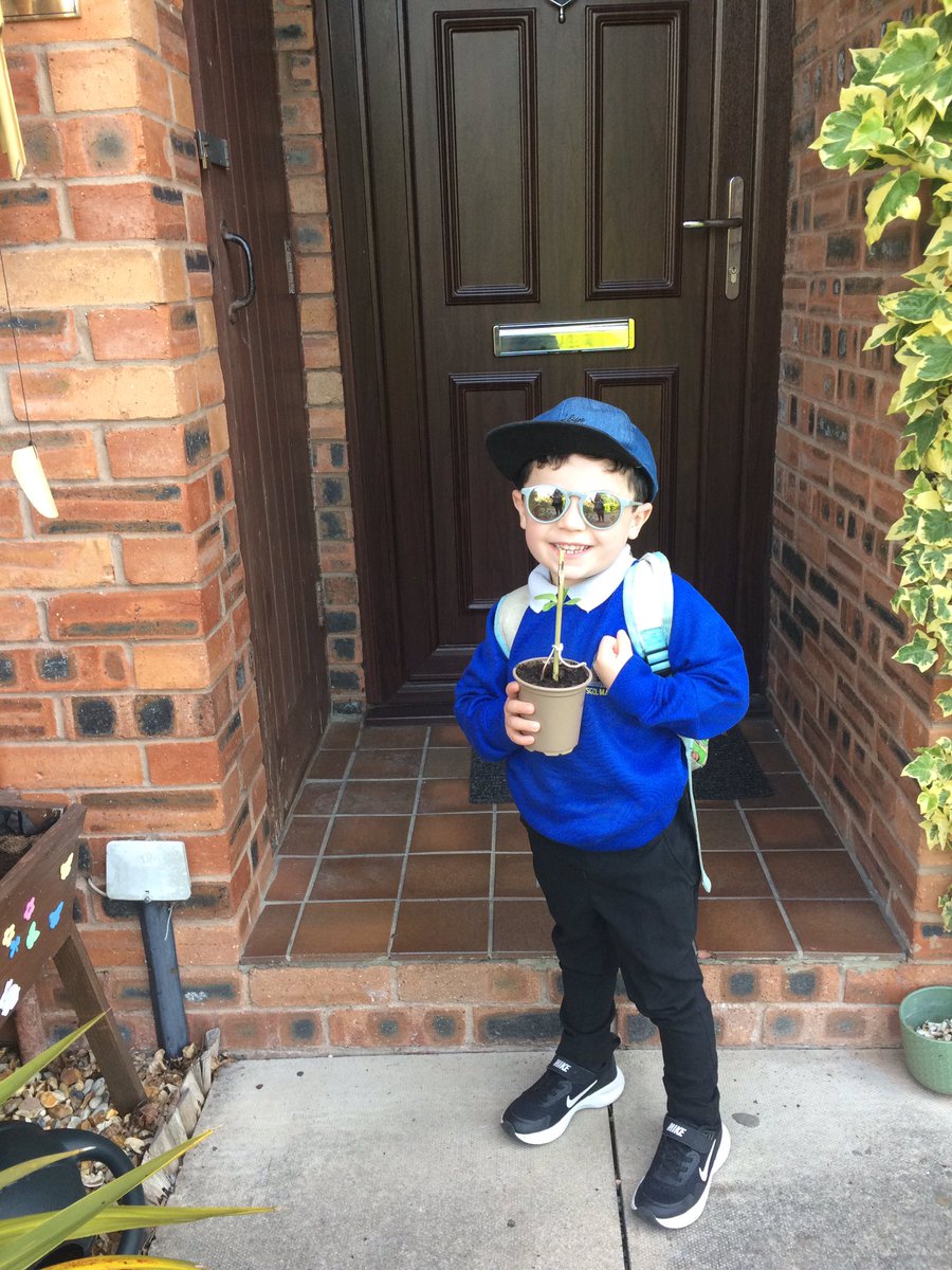 BatesRhian's tweet photo. Super proud of how well his sunflowers have grown. So much so that we took two into nursery today to share 🌻@mrshiller2 https://t.co/uia0Kh3pCv