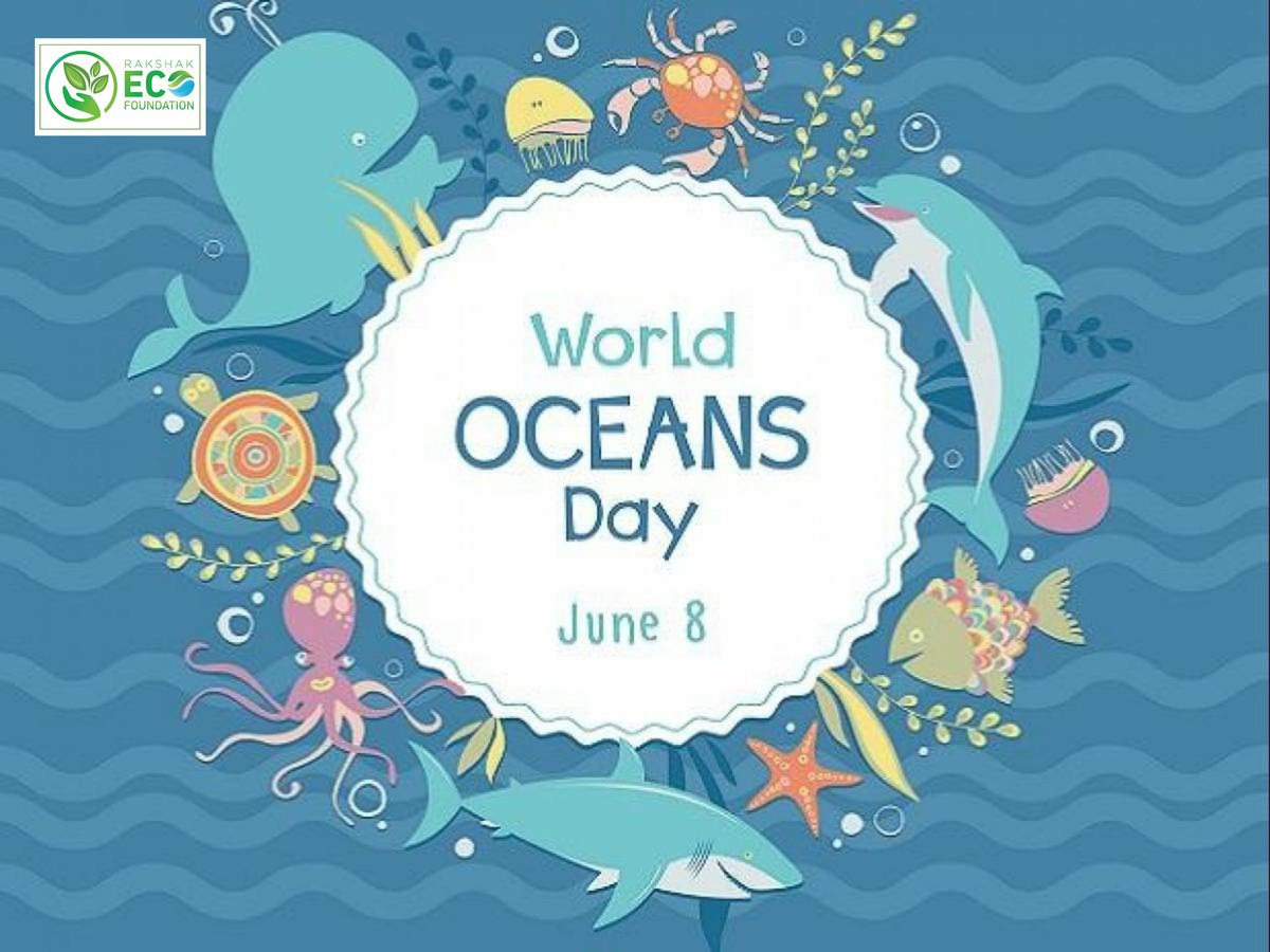RakshakEco's tweet photo. Oceans cover 75% of Earth 🌎 area. They are the sources of various nutrients, compounds and eco-system. But unfortunately, since last 100 years we started polluting oceans with various sources. Ocean day must be celebrated as "Say No to Single use Plastic".
#WorldOceansDay #REF https://t.co/N63bCaA25V
