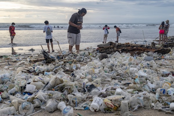EFEverde (@efeverde) on Twitter photo Los océanos afrontan su día mundial convertidos en “sopas de plástico”
Por <a href="/ManuMonk/">Manu Moncada</a> #DiaMundialdelosOceanos
efeverde.com/noticias/ocean… Los océanos afrontan su día mundial convertidos en “sopas de plástico”
Por <a href="/ManuMonk/">Manu Moncada</a> #DiaMundialdelosOceanos
efeverde.com/noticias/ocean…