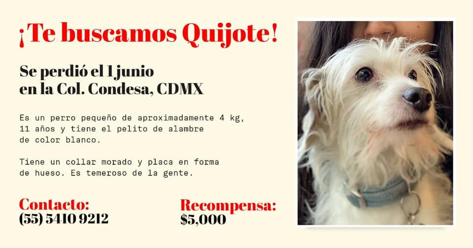 DEFENSA ANIMALISTA tweet media