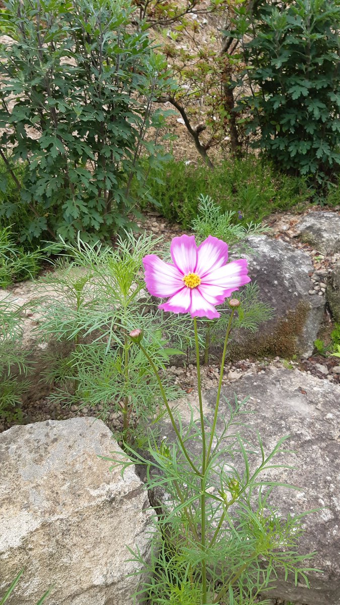 수학은 사실상
살면서 그다지 
필요한 학문은 아닌데
왜 수험생들을 괴로피는지 
알수가 없다
이제는 구구단 외울 필요도 없는 세상이다.