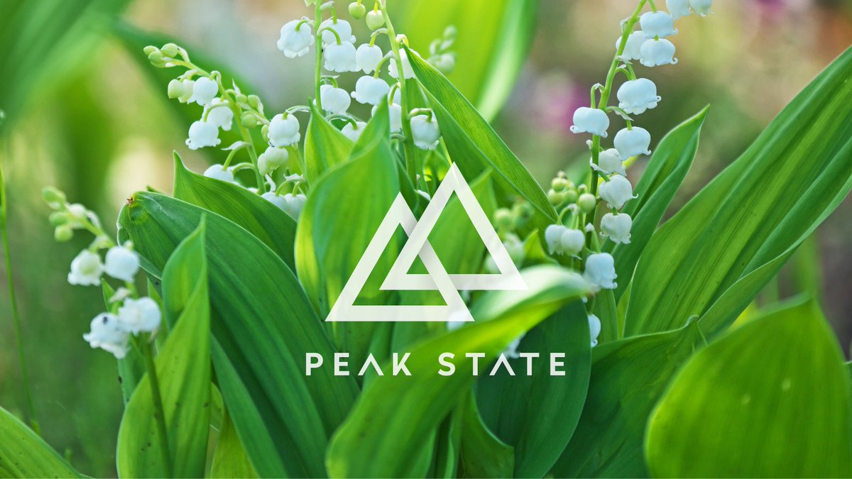 PeakState tweet media