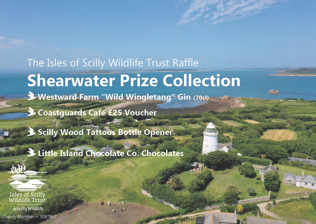 Happy #WorldOceansDay! 🌊 Celebrate our amazing #oceans, not just worldwide but here in #Scilly, & play our #Summer #Raffle! 🌊 Love Scilly? You'll love our raffle! Lots of fantastic Scilly prizes to be won from SIX prize collections 🌊 Play ➡️ ios-wildlifetrust.org.uk/raffle2021