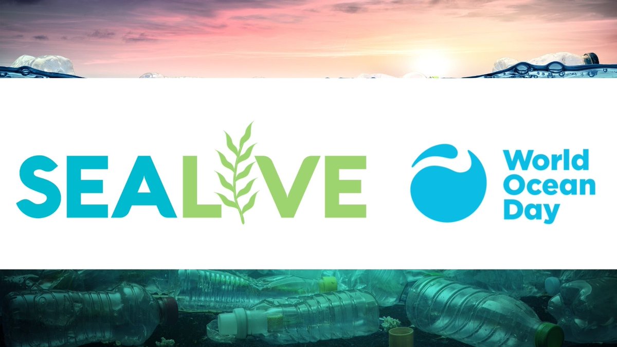 Happy #WorldOceansDay! 🌍🌊

Learn about #H2020 <a href="/SEALIVE/">sealive</a>'s work on protecting the ocean from #plasticpollution 

➡️sealive.eu/news-and-event…