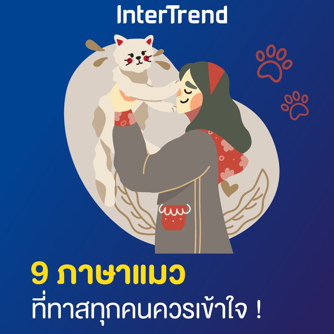 intertrend1's tweet photo. 9 ภาษาแมว ที่ทาสทุกคนควรเข้าใจ 🐾
🐱 1. น้องแมวชอบมานวด
อยู่ดี ๆ น้องแมวก็มาเป็นหมอนวด ถึงแม้บางทีเราจะเจ็บเพราะโดนเล็บของน้อง แต่นักวิจัยรายงานว่า เพราะว่าน้องแมวชอบคุณ ทำเพื่อตอบแทนคุณที่เคยมอบความรักให้กับน้องแมวนั่นเอง
#ทาสแมว #แมว #intertrend https://t.co/qGyIFMDIWr