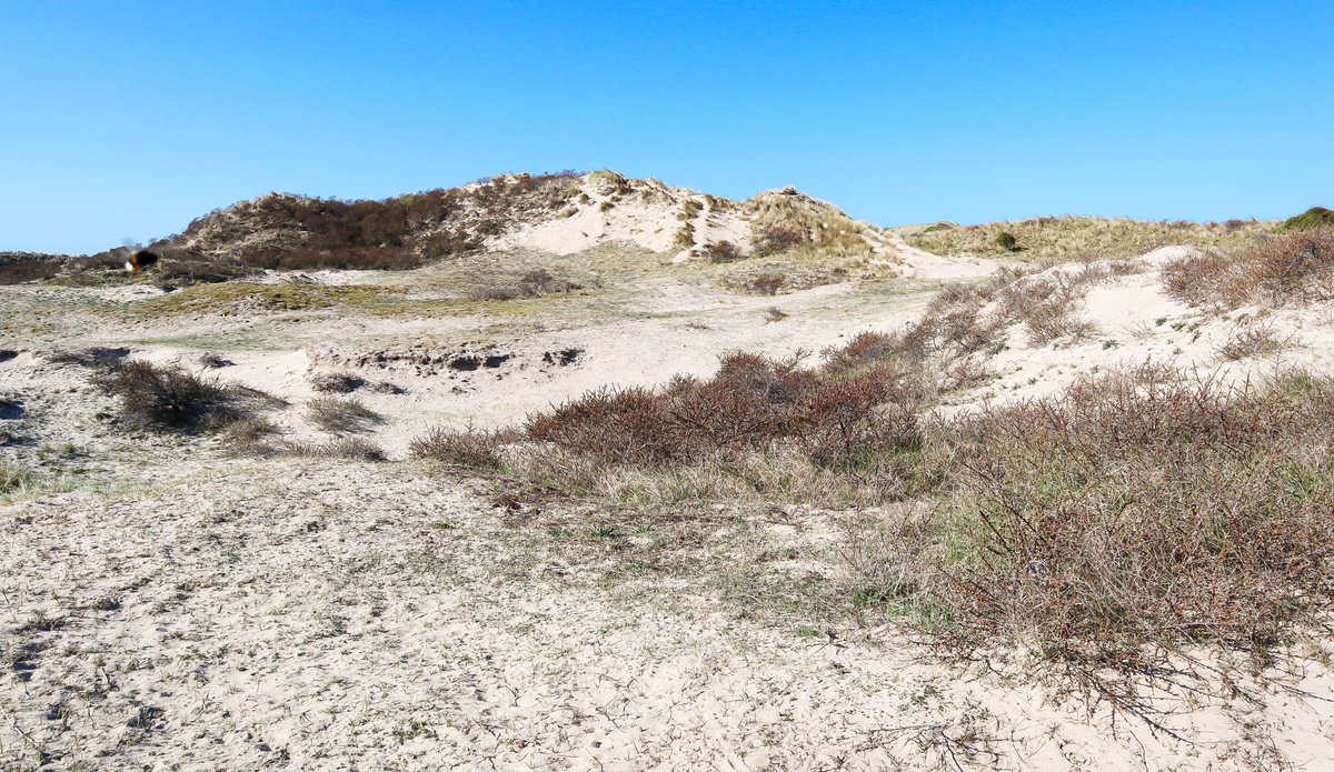 Wat een weertje jongens! Perfect voor een weekendje Zandvoort. Dit wil je zeker zien en doen in Zandvoort 🙂#Zandvoort #reisblogger dutchieontheroad.nl/wat-te-doen-in…