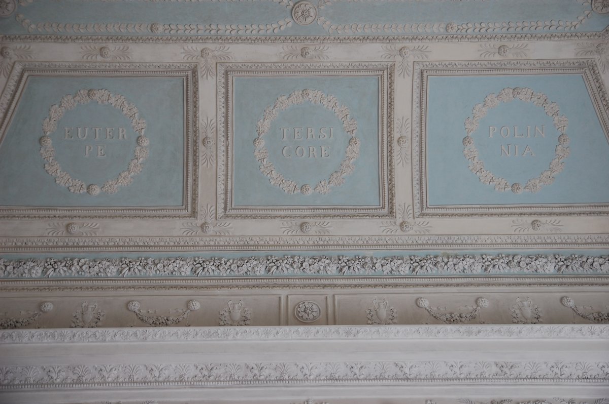 Il soffitto in stucco con le Muse è straordinario! 🤩
#DietroLeQuinteMW #BehindTheScenesMW #MuseumWeek