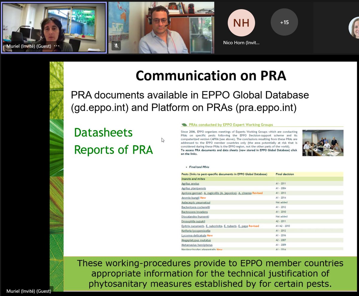 Plants_EFSA's tweet photo. #didyouknow that #PestRiskAssessments made on a given #PlantPest can be easily retrieved in the @EPPOnews #GlobalDatabase
https://t.co/9XAfQ3ckDd
and in the platform on #pras
https://t.co/U9g5HkR4Jr
both crucial tools in our daily work
talk by @MurielSuffert and Rob Tanner https://t.co/BC3sl5NWMH