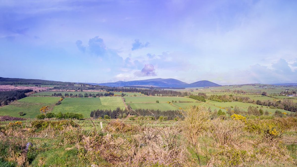 hiiker__'s tweet photo. Got three days to spare? Why not fill them on the Duhallow Way?
https://t.co/Dj0dJklKWZ
#duhallowway #hikingireland #irishmountains #irishtrails #irishhiker #weekendhiker #thoseviews #adventureireland #hiiker #thehikelife #hikinglifes #hikingstyle #hikehi #hiketheglobe #hiketime https://t.co/EpIPchAbRK