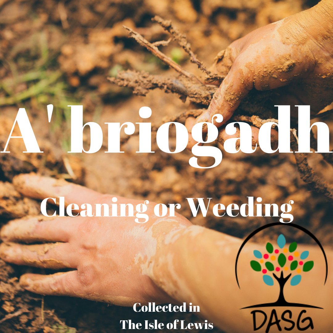 DASG_Glaschu's tweet photo. https://t.co/fez3ivyN1R
🌿
A' BRIOGADH - CLEANING OR WEEDING
🌱
#briogadh #glanadh #spìonadh #weeding
☘️
#Leòdhas #IsleofLewis
#Gàidhlig #Gaelic #DASG https://t.co/79lnkxQFPB