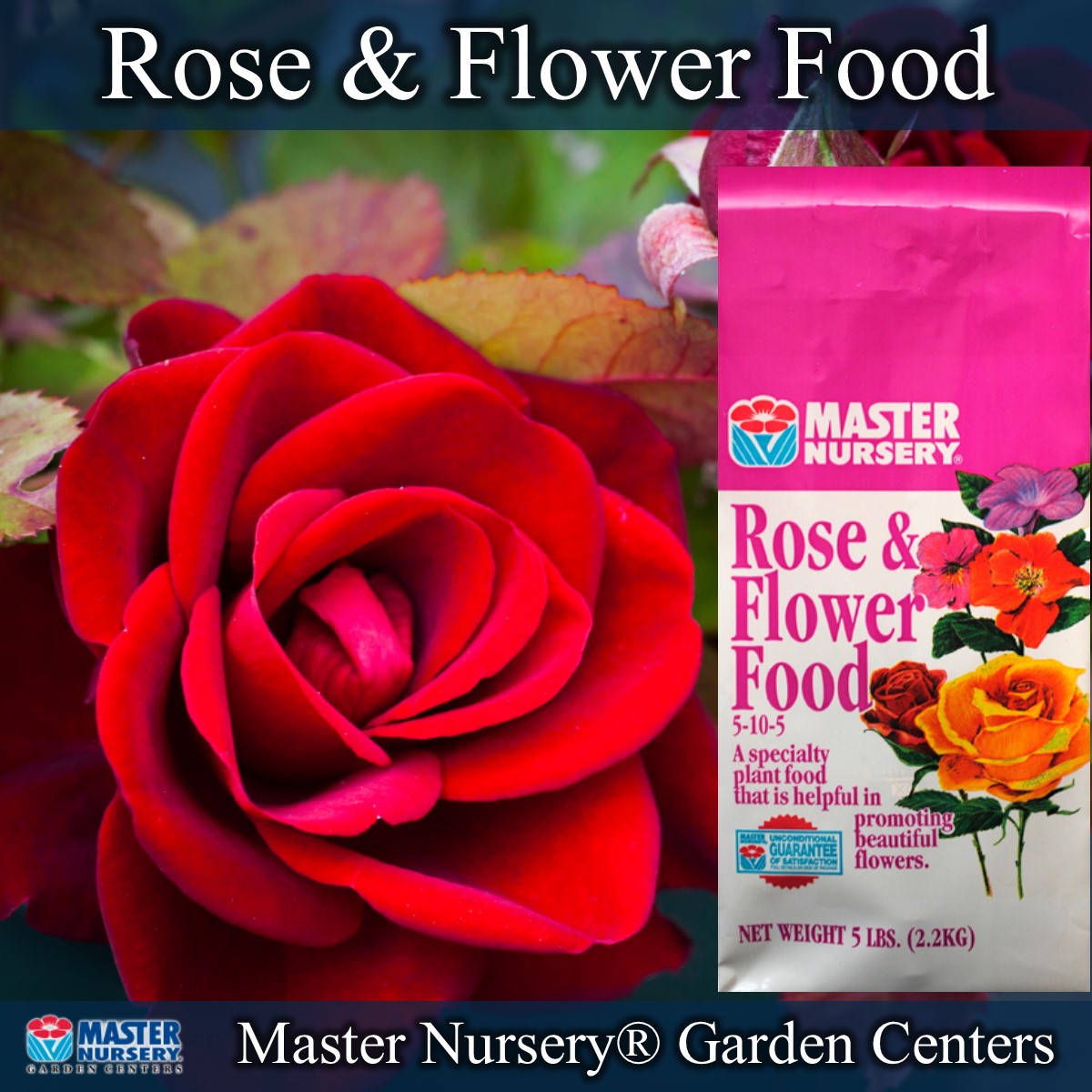 Master_Nursery's tweet photo. Celebrate National Rose Month with Master Nursery! Rose &amp; Flower Food is designed to promote growth and flowers on annual and perennial flowers in flower beds or containers. Plants should be fed monthly for optimum results. https://t.co/ev3xxlGFSC #NationalRoseMonth #Roses https://t.co/29e4uCxZDz