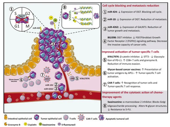 Ismaelsg84's tweet photo. The Role of Glycosyltransferases in Colorectal Cancer https://t.co/5j9XiDo8f1 ##mdpiijms a través de @IJMS_MDPI https://t.co/dcy9Cd6n7r