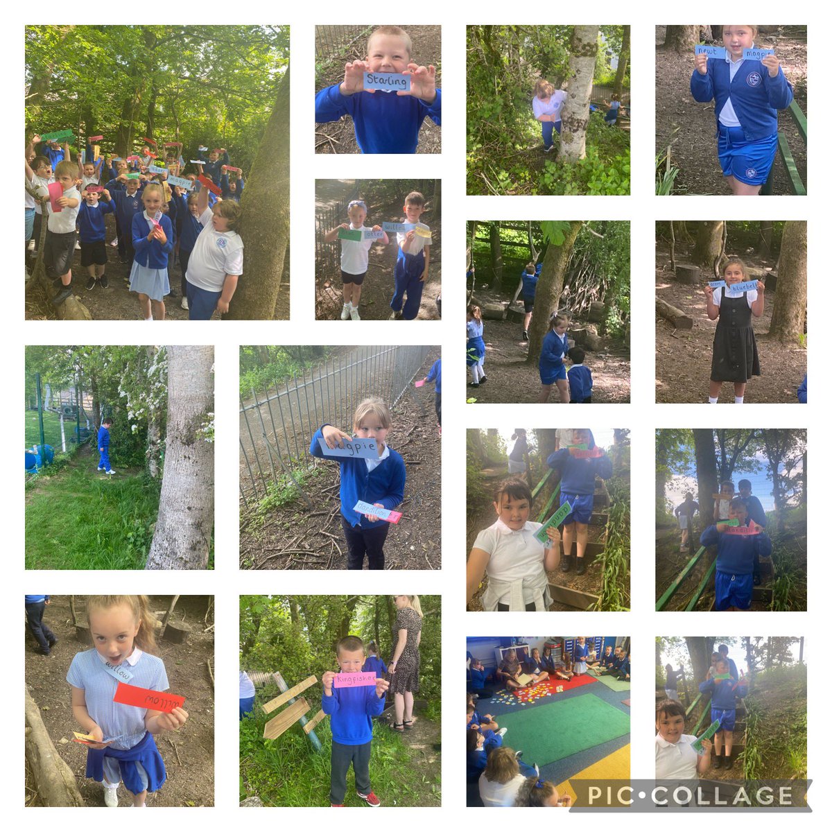Today we have started our new book The Lost words .we have had lots of fun looking for lost words that have disappeared in Deighton woods .<a href="/DPSAgnew/">Mrs Agnew</a> @DeightonPrimary