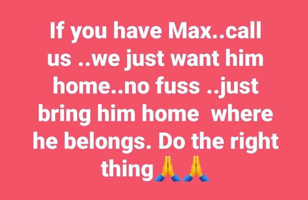 MissingPetsGB's tweet photo. #findmax https://t.co/C0GuB5eaF6