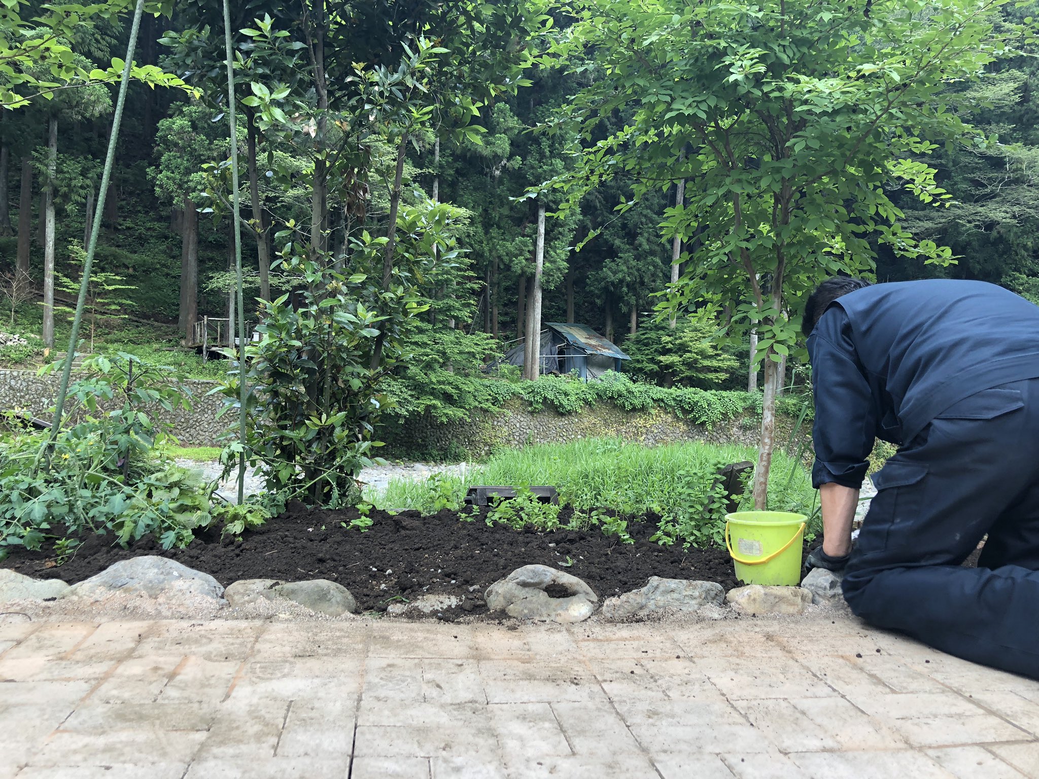 久我山 Park Bar 養沢川が流れるすぐ横のポジションに開墾をスタートさせてから2箇所目となるハーブ花壇が出来上がりました アップルミント スペアミント イエルバ ブエナ あっという間にミントでうじゃうじゃになるはずです T Co