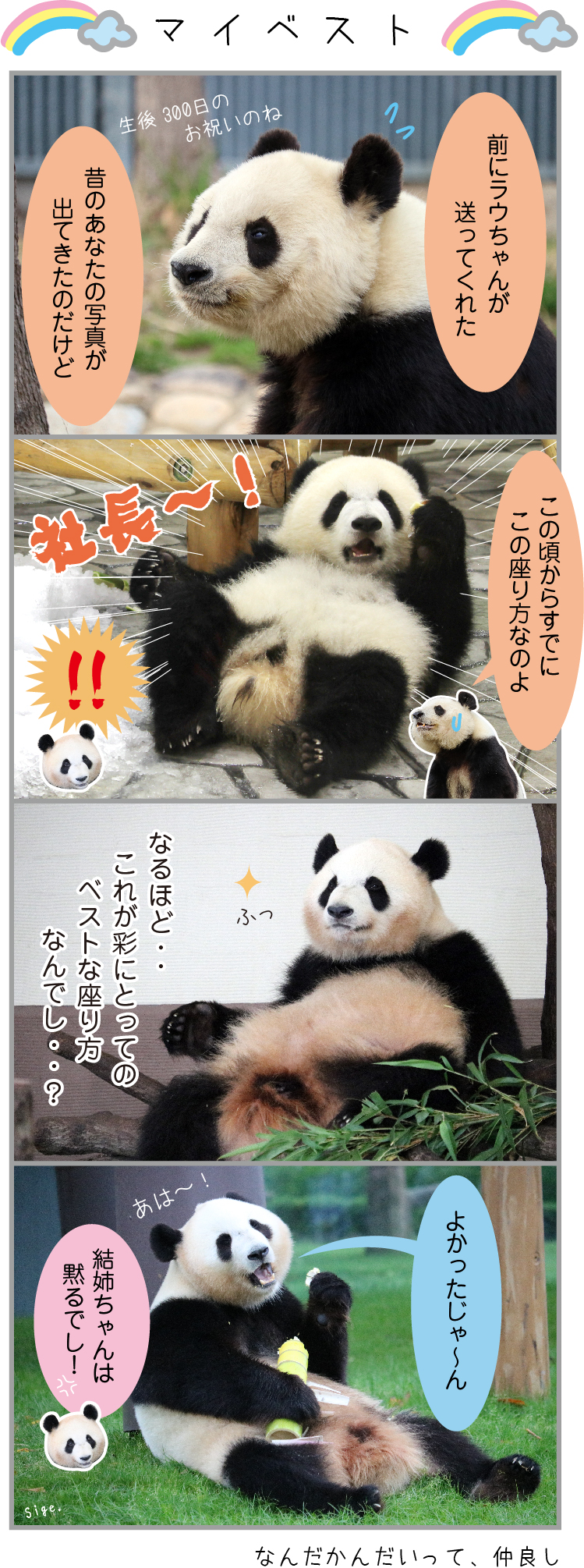 パンダライター 二木繁美 Sigepanda かわいい座り方とは 彩浜 タンタン パンダ Panda T Co Yyznw6mitw Twitter