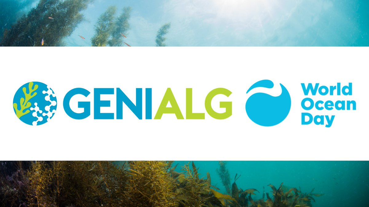 🌱Seaweed plays a vital role in our oceans. 🌊 GENIALG aims to boost the Blue Biotechnology Economy in #Europe by designing high yielding #seaweed cultivation systems. We are proud to support @WorldOceanDay to protect our oceans and seaweed! #WorldOceansDay #algae #sugarkelp