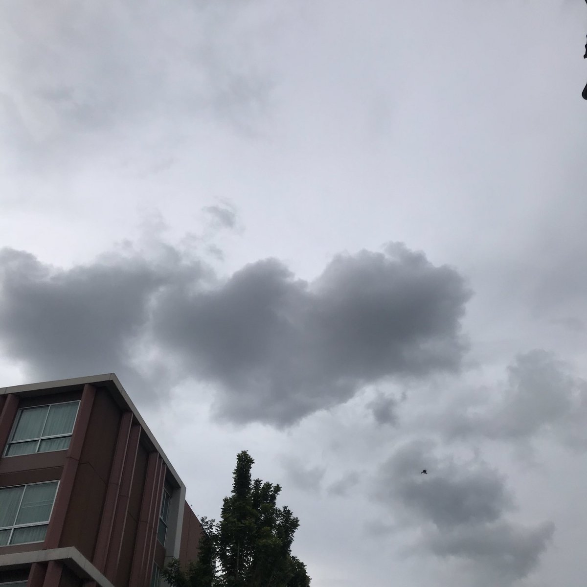 imskycool's tweet image. แอบเศร้านะวันนี้ #imsky