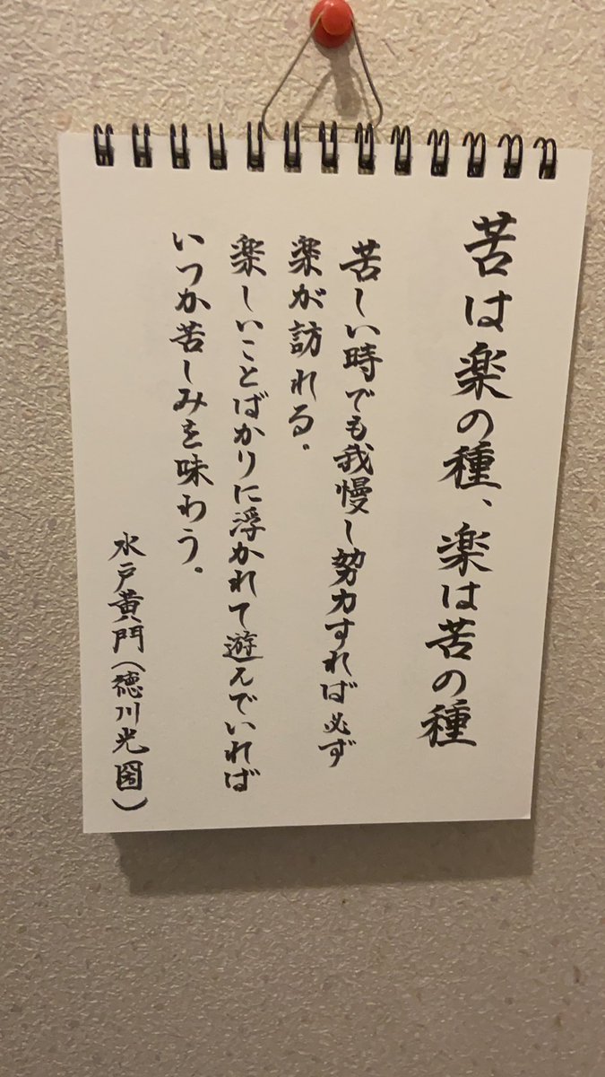 4月12日に生まれたネコ X6koc13qknztzvq Twitter