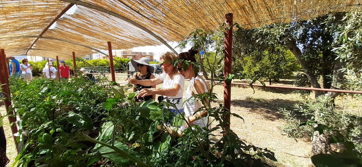 EnsoEU's tweet photo. Our strategic partnership project "Growing skills on farms for budding learners with disabilities" has come to an end. We invite you also to read the Newsletter summarising the project. https://t.co/01s1J69Jly https://t.co/kpMu8XdgMI