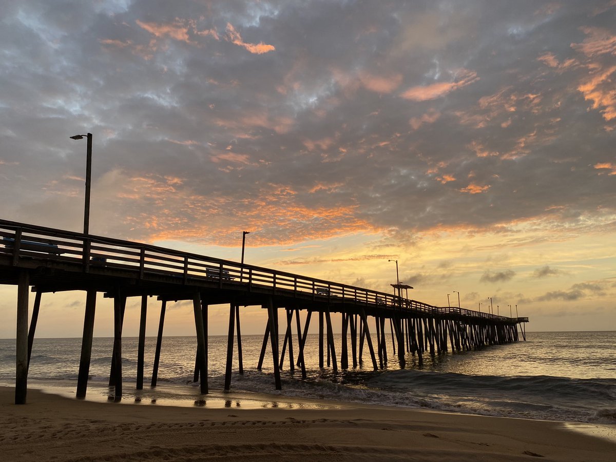 Heather Allen tweet media