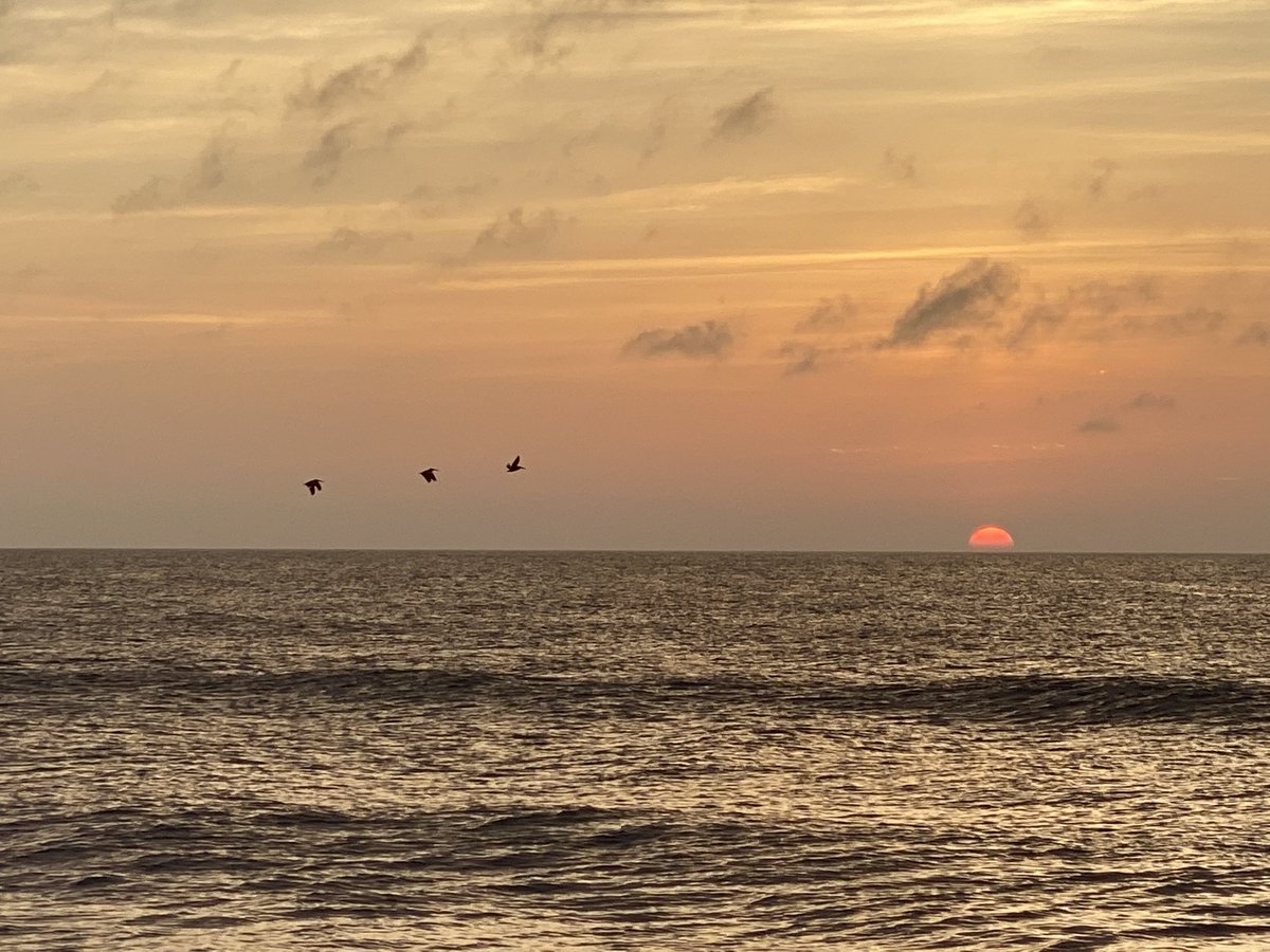 Heather Allen tweet media