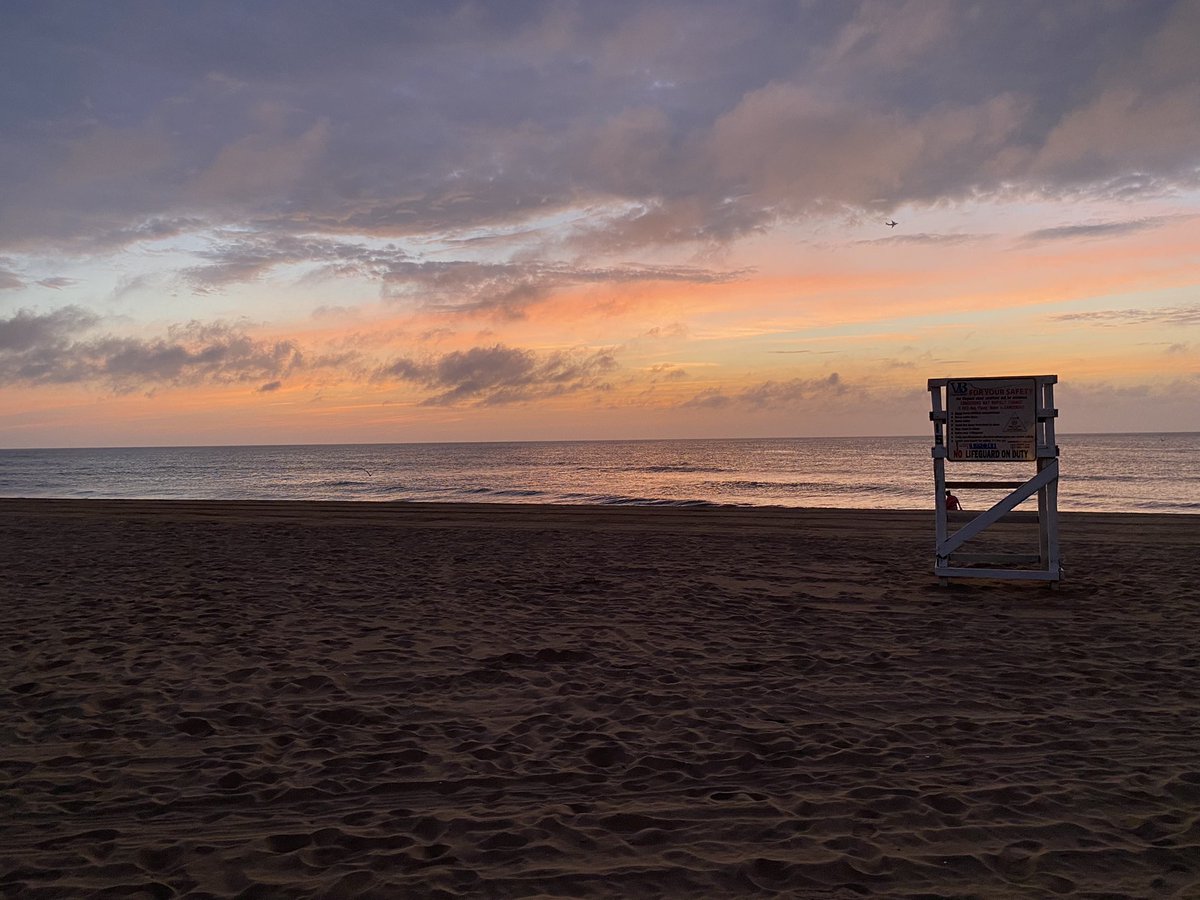 Heather Allen tweet media