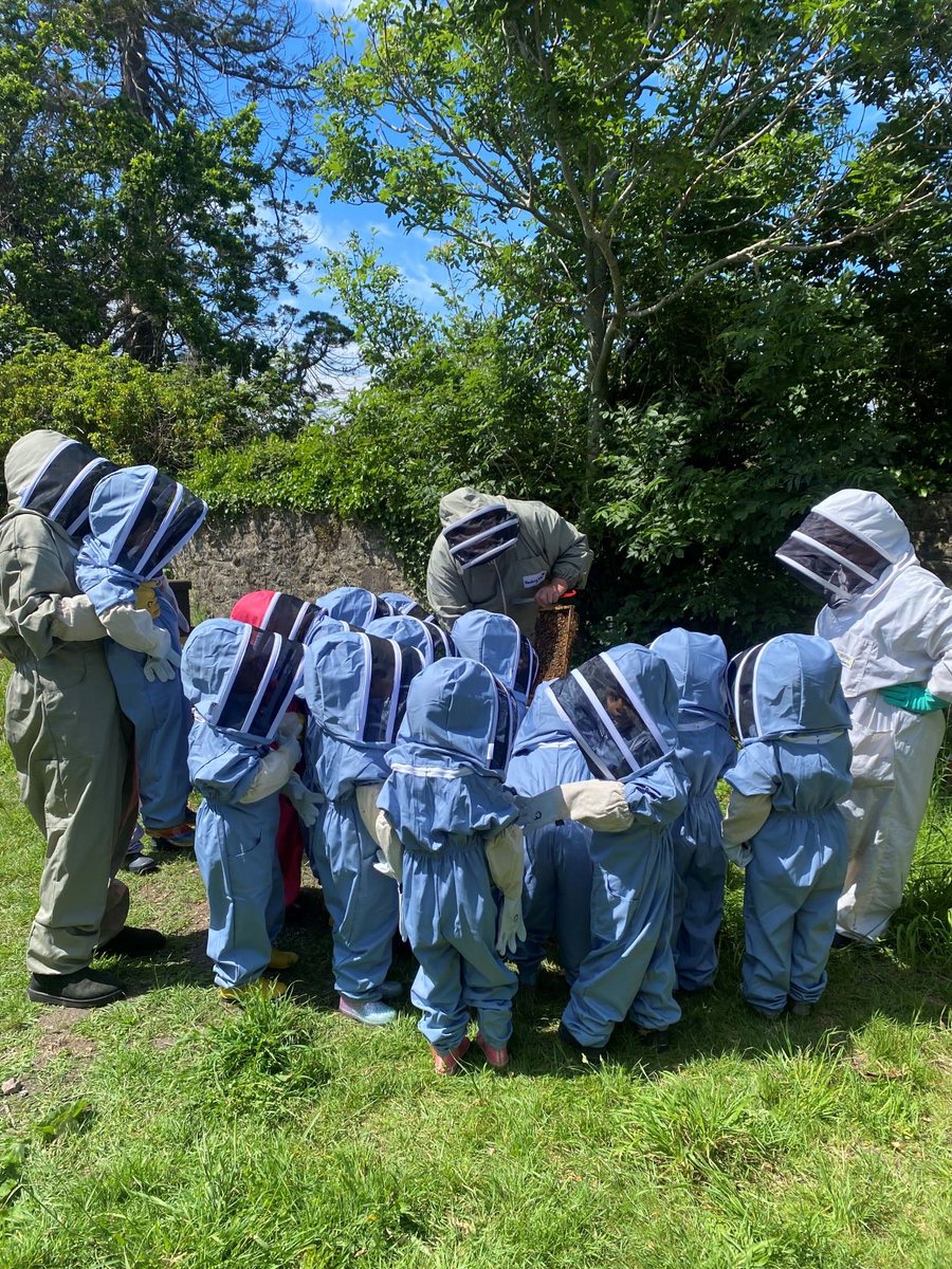 RydeSchool's tweet photo. Although it looks like an invasion of little aliens, it's only Reception getting to meet the Ryde School bees! They had lots of fun with Bunbury Bees learning all about bees and and how they make honey. #Fivewaysfun #Rydschoollearning #Environmental #RoundSquare https://t.co/vEnMUkItd6