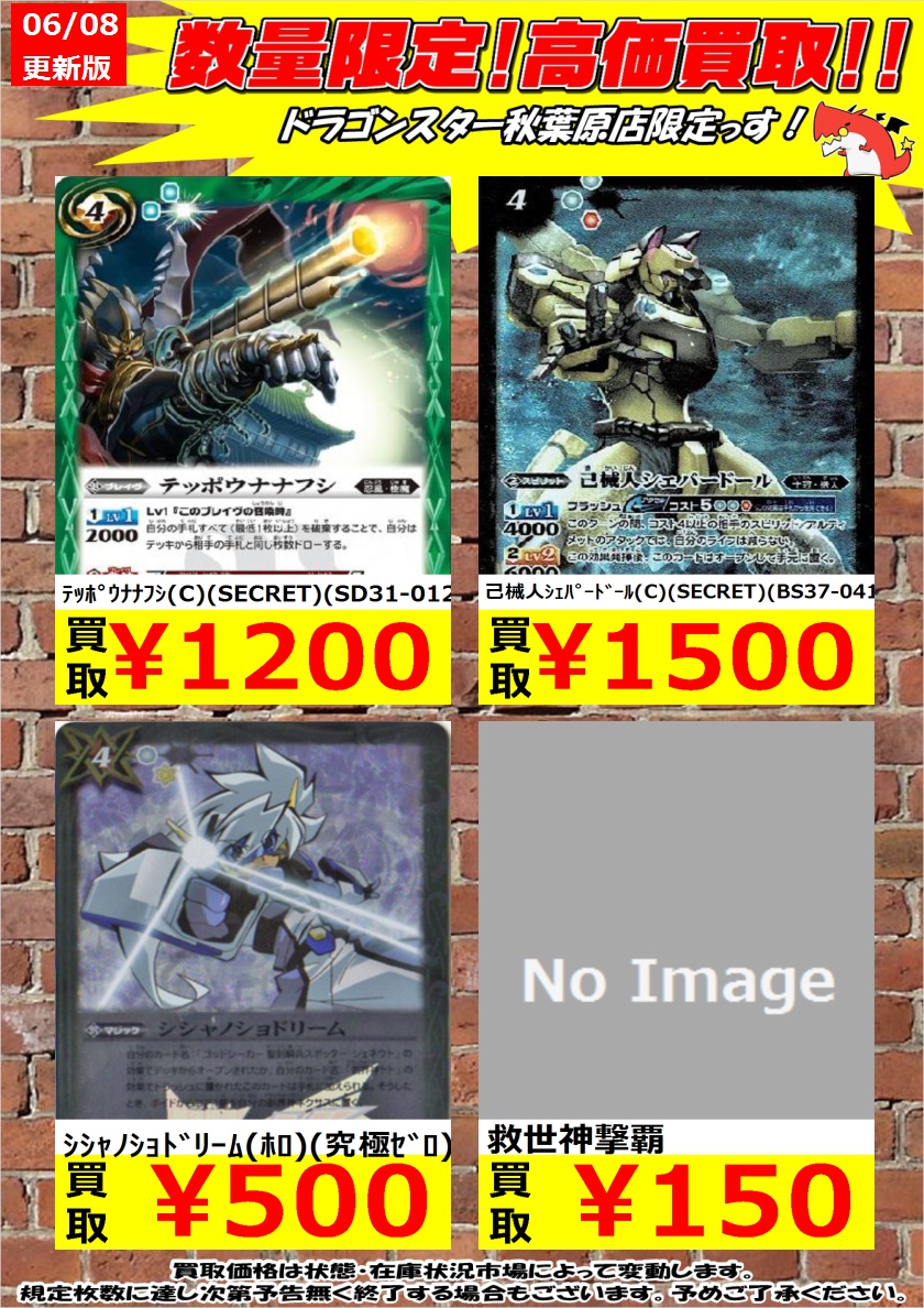 日本最大の テッポウナナフシ fawe.org