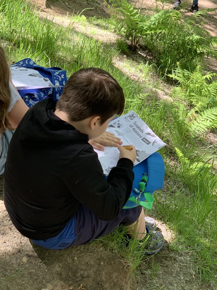 eagley4b's tweet photo. Listening to the sounds of nature to see what we can spot 👂🌳 #soundsofnaturebingo @nationaltrust https://t.co/szgLbF0S0A