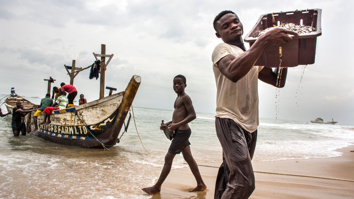 ousmane_diagana's tweet photo. Countries &amp; regional institutions must come together to bring cross-boundary solutions to increase the #resilience of West Africa's coastal communities. @WorldBank #WACA's Annual Report outlines measures for coastal protection. 

https://t.co/pZFZ9X48g1 #WorldOceansDay https://t.co/KVu0uN8TSm