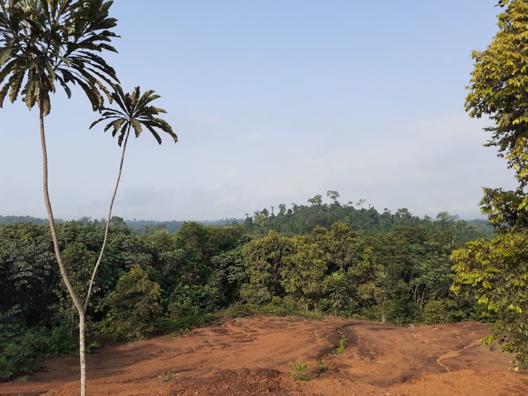 CritProductions's tweet image. Wow!  What an inspiring piece from Rowan Thorne at @OriginExpl, describing the environment and, most importantly, the opportunities of working in the forgotten gem of #Liberia.  Can&apos;t wait to see what comes of that hard work!

bit.ly/3wZf98C

#gold #exploration #geology