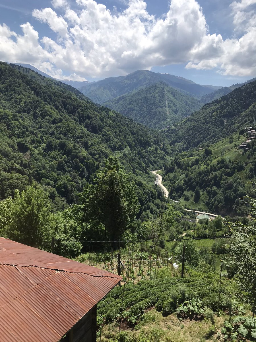 Şöyle Güzel Manzaran Vardır... Ama Nefes Aldığın Sürece Herşeye Alerjin Vardır 🤦 
#SenozVadisi 📍RİZE 💚💙