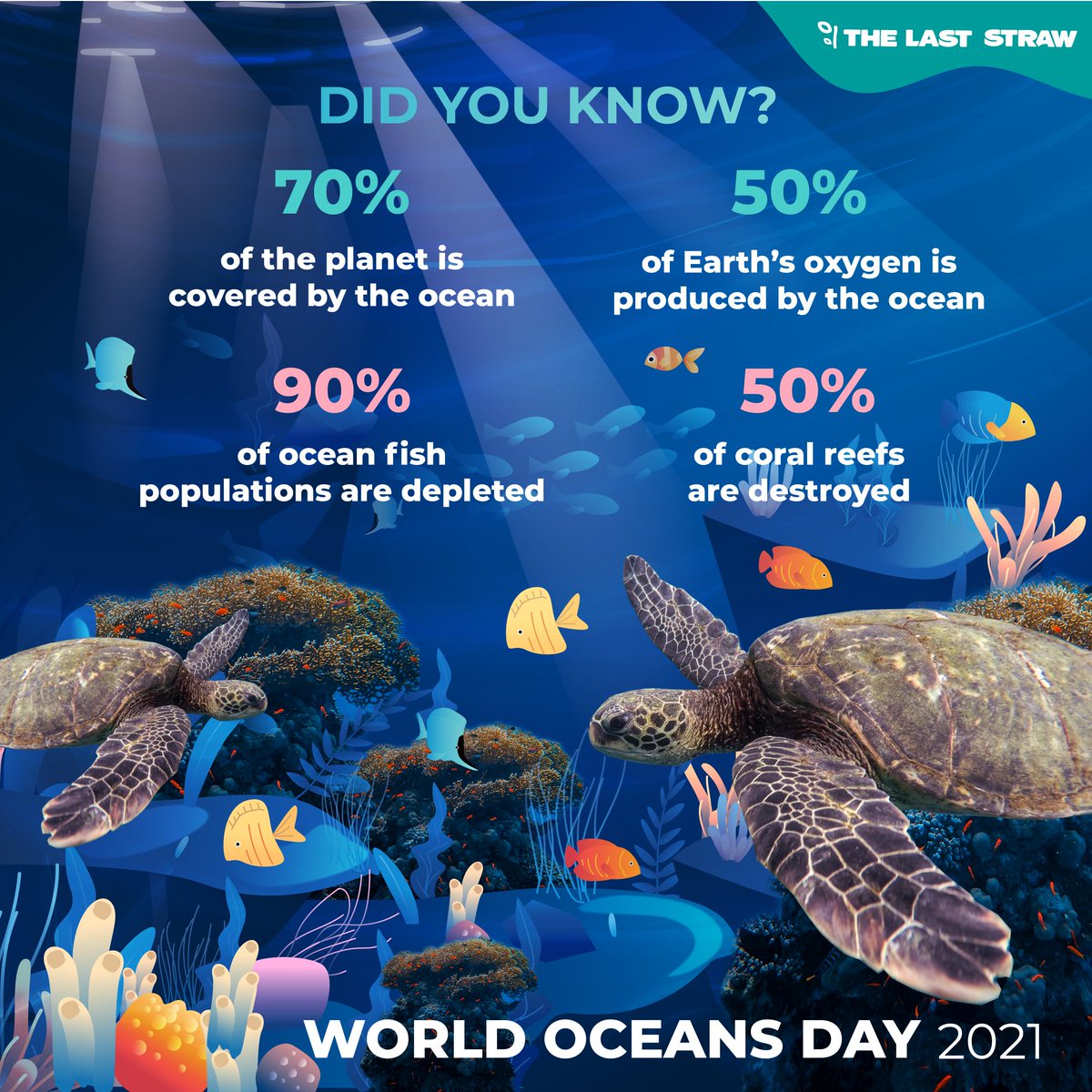 thelaststraw_'s tweet photo. A clean ocean is the key to a sustainable future. On #WorldOceansDay2021, we are reminding you of the major role oceans have in our everyday life &amp; livelihoods &amp; their positive role in climate change &amp; biodiversity conservation. Tell us how you are striving to #SaveOurOcean! https://t.co/oq7PPifwEA