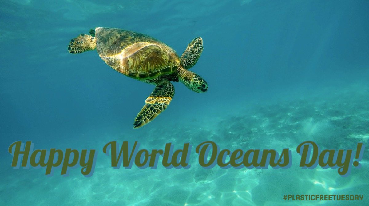 On #WorldOceansDay, let's remember that every time we refuse single-use plastic or choose a reusable alternative, we're preventing #plasticpollution before it starts. Let's refuse, reduce, reuse, refill, and rethink the way we consume. Let’s turn the tide. 🌊 #PlasticFreeTuesday