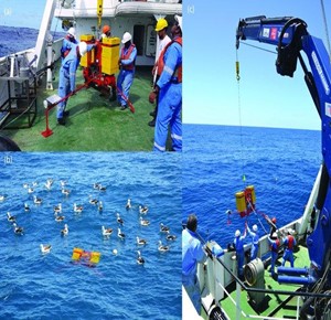 DSBSoc's tweet photo. For #WorldOceansDay2021 why not have a look at the profile of an #earlycareer #nextgeneration #deepsea researcher?
Meet Leila Nefdt @Lady_leilz
#MSc student at @UCT_news
focusing on offshore marine benthic ecology
https://t.co/XcchAU3N1p
#ScientistProfiles #ECRs https://t.co/8uAn7q3lG2