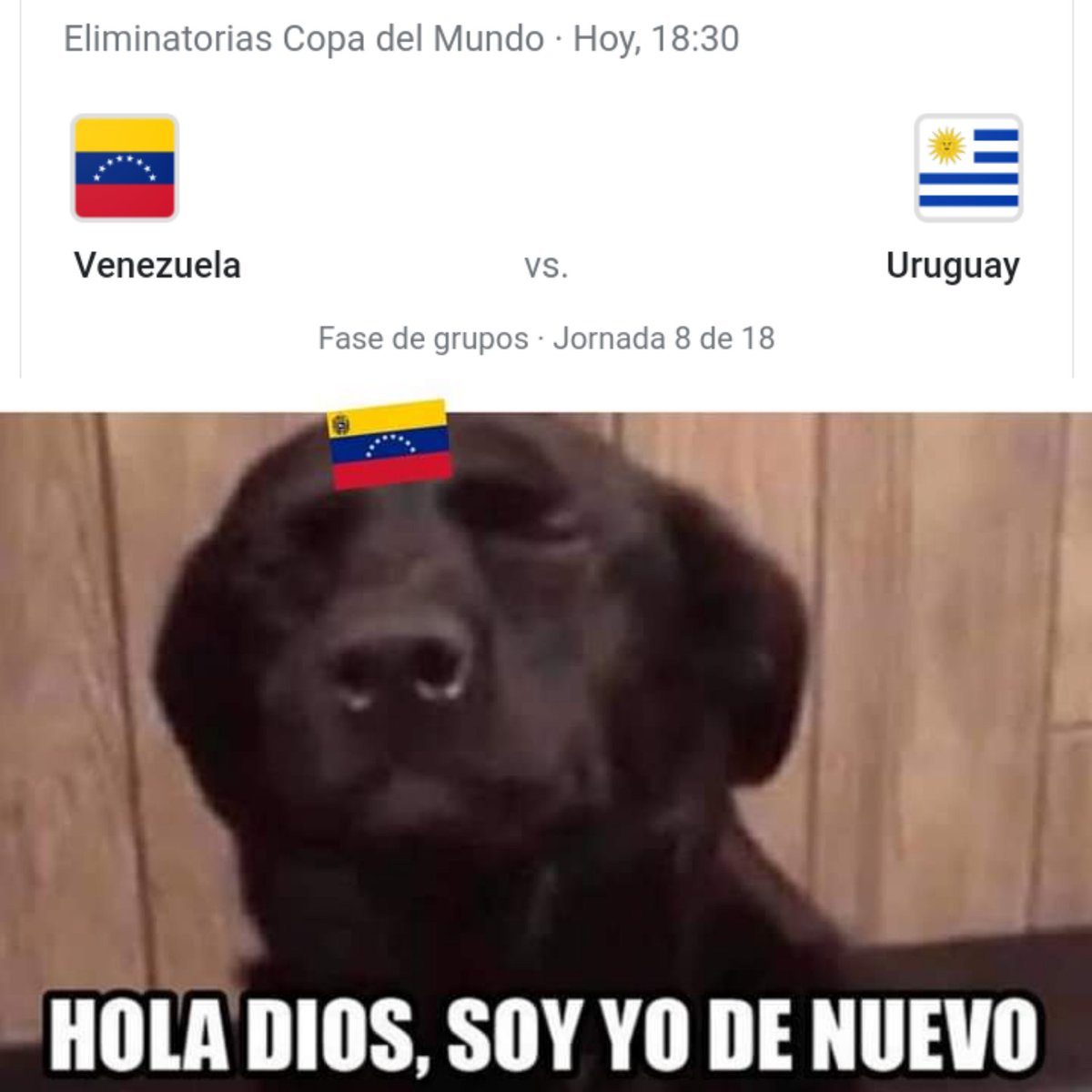 ¡HOY JUEGA LA VINOTINTO! 🍷🇻🇪
