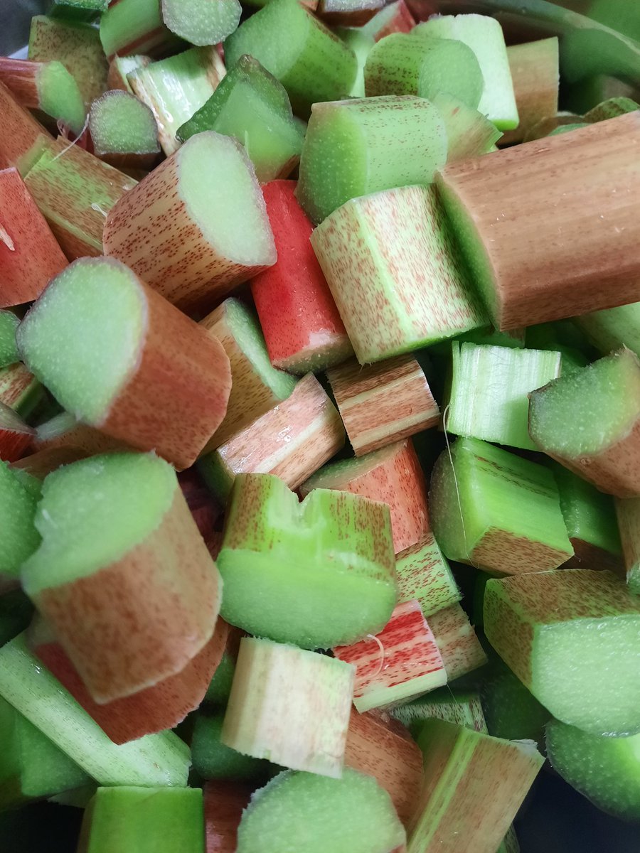 CondimentsKitch's tweet photo. Good morning #elevenseshour
I am making a selection of new flavours for our website this week!
How does Moroccan bbq relish, gherkin relish, rhubarb jam and blackberry chutney sound?!
#MHHSBD #bbqrelish #bbqcondiments #homemadechutneys https://t.co/h5nxBCa1zO