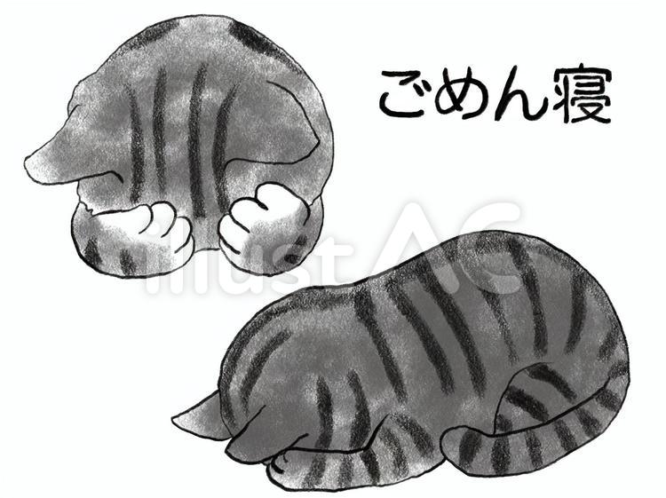 みきたにし 描いたり弾いたりする人 على تويتر 今日も無事にイラストが公開されました フリー素材みきたにし 猫好きさんと繋がりたい ごめん寝 イラスト好きさんと繋がりたい イラストacにてdl無料です 下記urlからブチ猫に飛びます ねこ ごめん寝 01