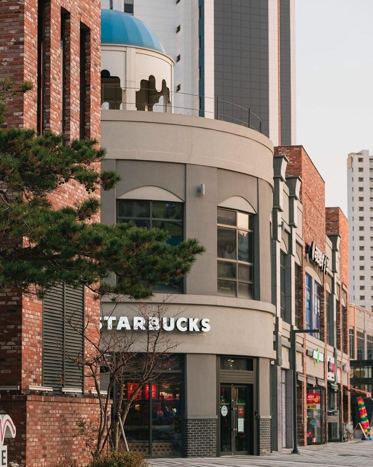 michiyowrites's tweet photo. " the usual? "

#doyoung x reader filo au kung saan: isa lang naman ang usual ng baker na si Andi sa starbucks; ang barista doon na si Doyoung. https://t.co/FNtllKK6Vj