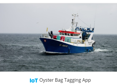 WirelessIoT's tweet photo. It's #WorldOceanDay! As partners in the @AtlanticArea @SAFERatlantic, WiSAR completed 3 pilot initiatives using the #DigitalTransformation to increase the #sustainability of the #ocean #economy.

Explore the 3 case studies https://t.co/LjCQlQyAZJ

#WorldOceansDay2021 #IoT #AI https://t.co/fSLtzj3wo5